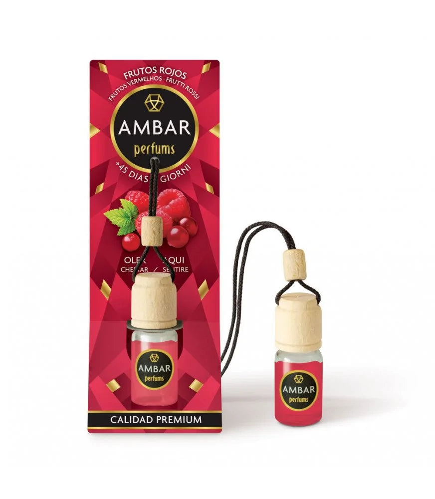 Ambar Parfums Désodorisant Voiture Coco, vanille ou fruits rouge Pendentif 6,5 ml